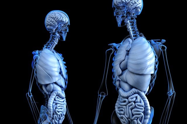 oncology physical therapy