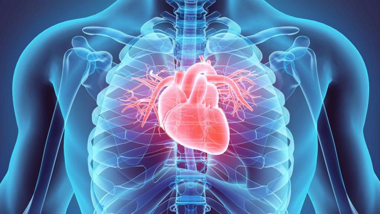 cardio pulmonary physical therapy