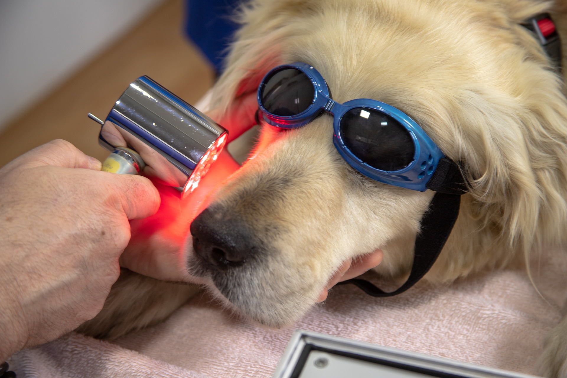 What is Laser Light Therapy