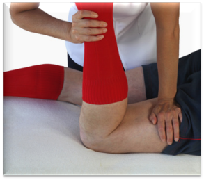 Physical therapy for happy hamstring health