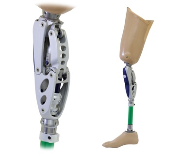 The Bionic Being