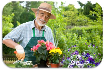 An old man enjoying outdoor activities without back pain