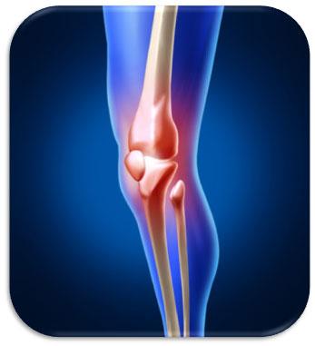 Physical Therapy for Knee Pain